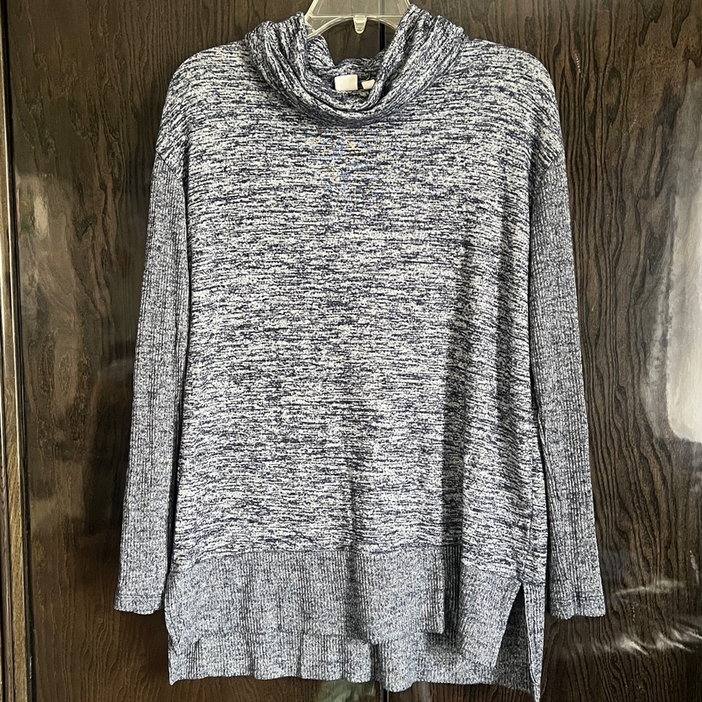 Gap Turtleneck Sweater